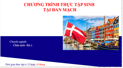thực tập sinh tại đan mạch ngành chăn nuôi thú y