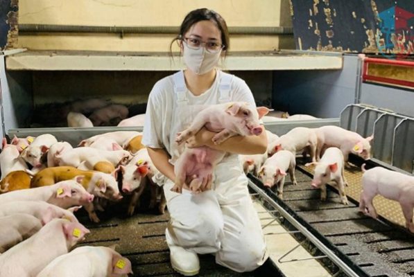thực tập sinh đan mạch chăn nuôi thú y